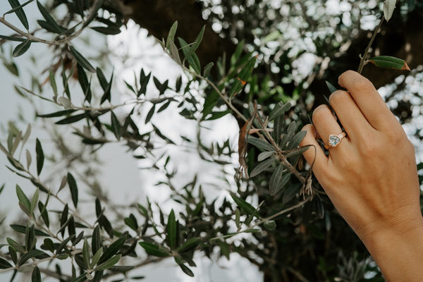 Hand mit Verlobungsring vor Olivenzweigen — Solitärring von Teresa Staub Jewelry