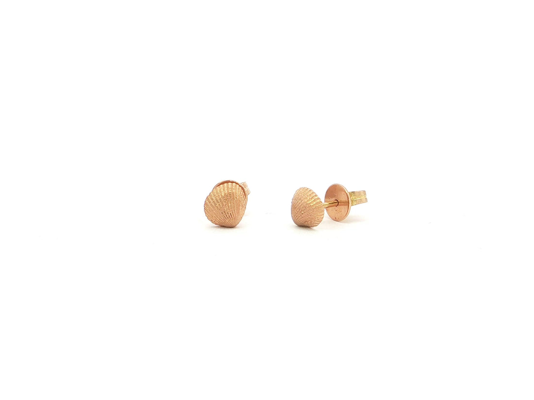 Muschel-Ohrstecker – 18kt Roségold