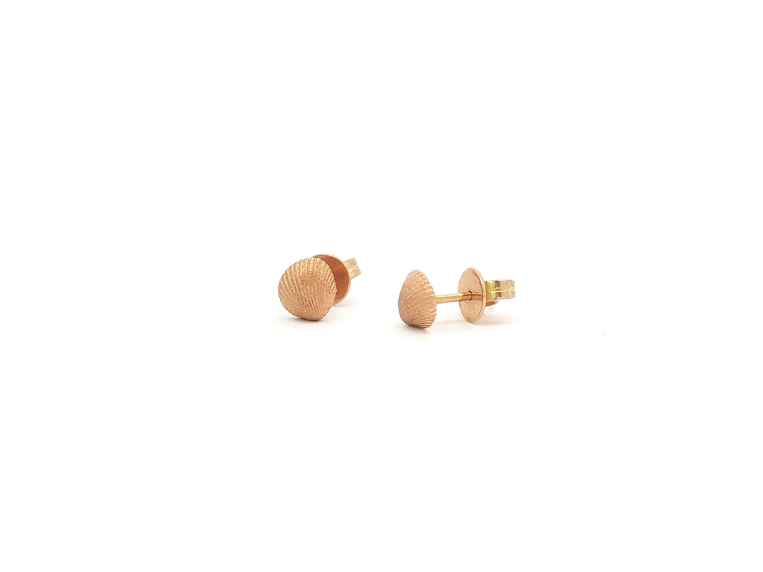 Muschel-Ohrstecker – 18kt Roségold