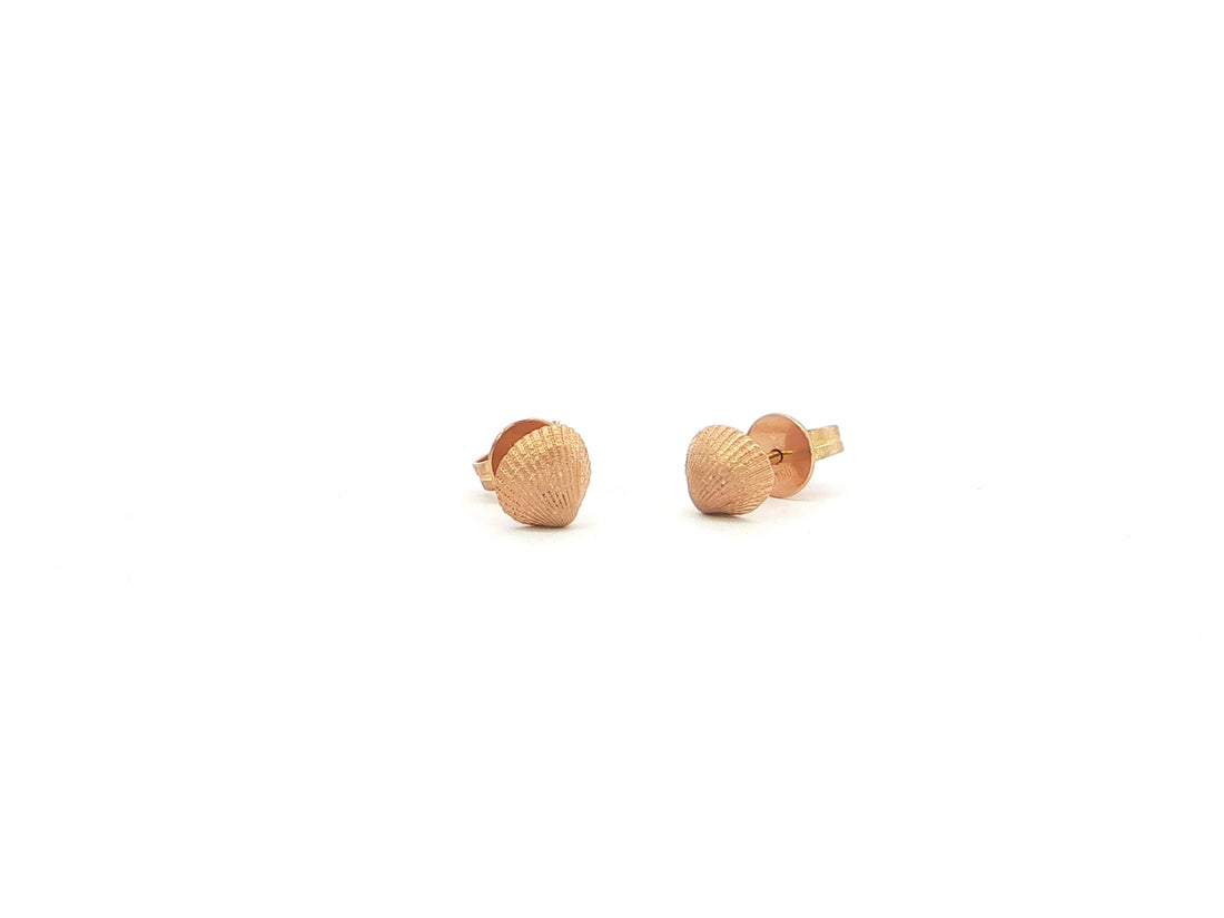 Muschel-Ohrstecker – 18kt Roségold