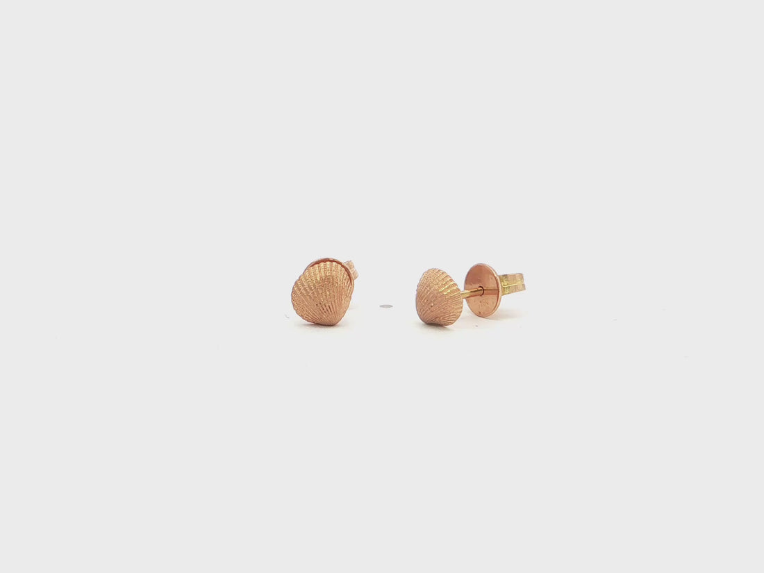 Muschel-Ohrstecker – 18kt Roségold